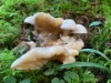 Bild12