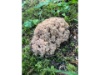 Bild14