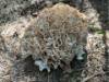 Bild18