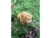 Bild22