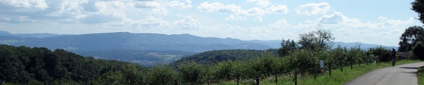 Panorama